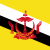 Brunei Flag